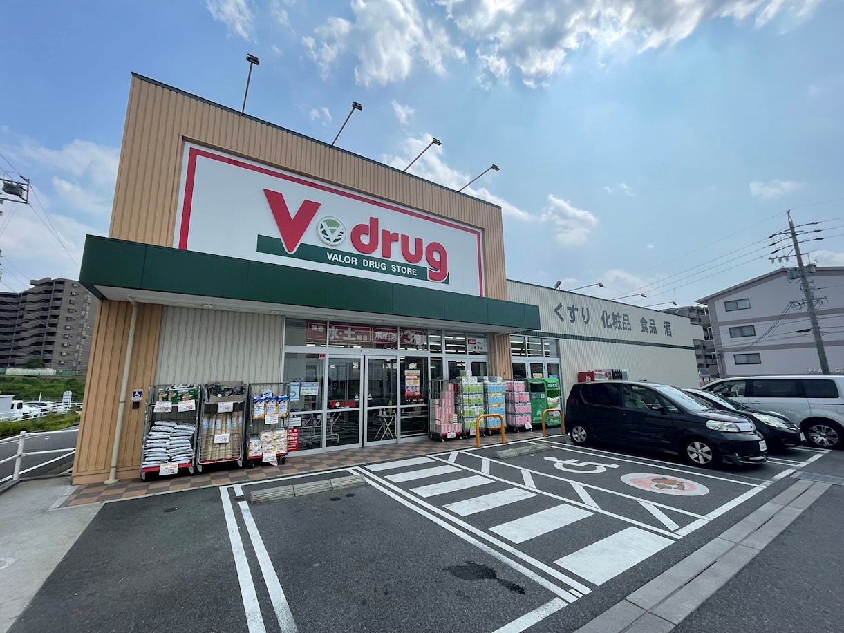 日進市折戸町梨子ノ木 ドラッグストア