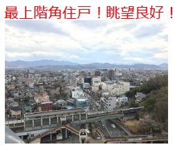 デュオセーヌ相模原上溝駅前 その他