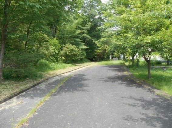 岐阜県土岐市泉町大富 現地写真（前面道路含む現地写真）
