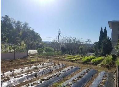 土岐市泉町河合　土地 現地写真