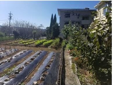 土岐市泉町河合　土地 現地写真