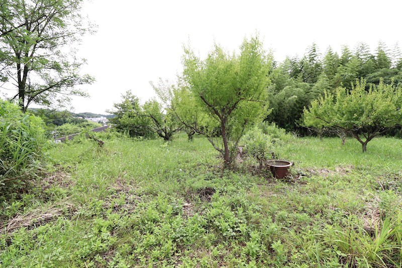 多治見市市之倉町3丁目　土地 その他
