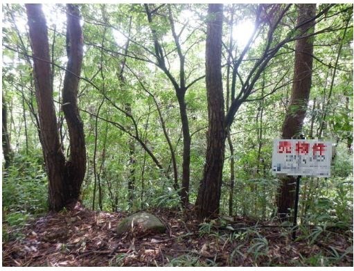 土岐市泉町大富　土地 現地写真