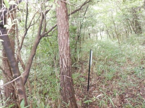 土岐市泉町大富　土地 現地写真
