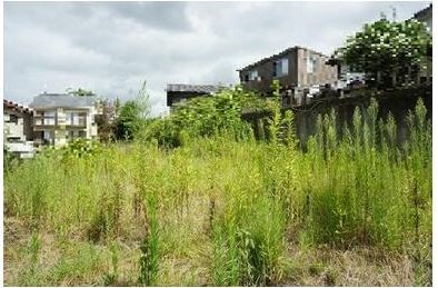 多治見市高田町11丁目　土地 現地写真