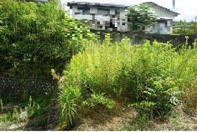 多治見市高田町11丁目　土地 現地写真