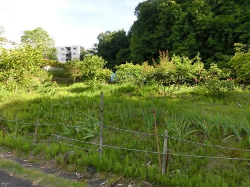 瑞浪市西小田町2丁目　土地 その他