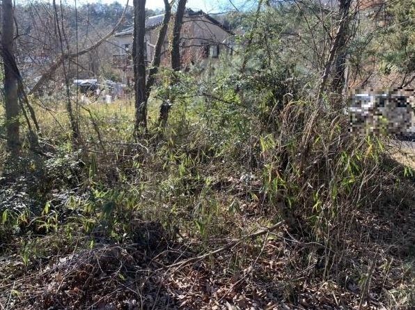土岐市泉町大富　土地 その他