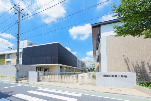 グランシティ石神井公園Ⅱ 200号室 周辺画像5