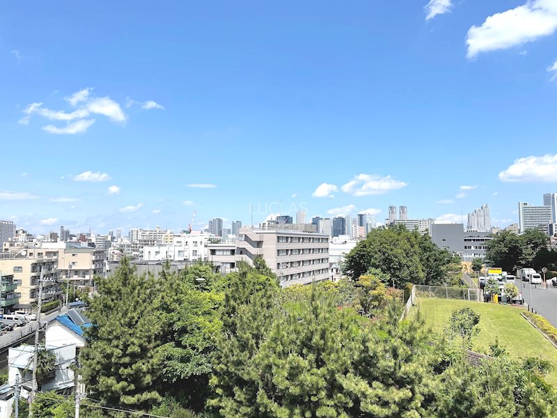 日商岩井弥生町マンション 504号室 その他