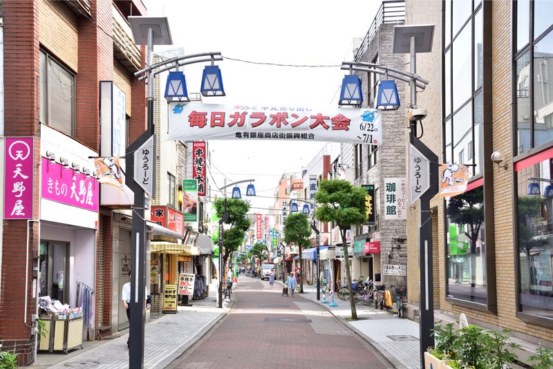 ベルクレール亀有 504号室 周辺画像6