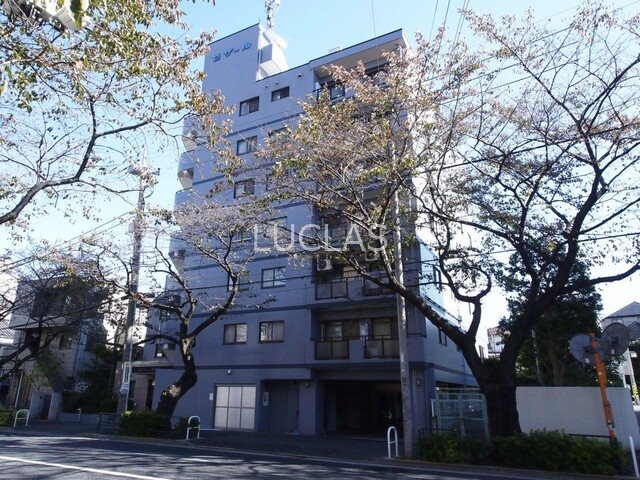 セザール哲学堂公園 204号室 その他