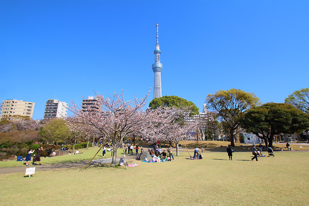 ベルメゾン向島 周辺画像10