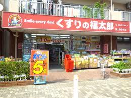 東大島ファミールハイツ1号館 周辺画像5
