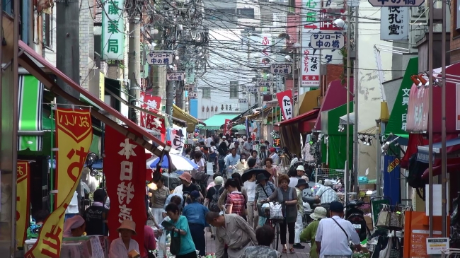 東大島ファミールハイツ1号館 周辺画像6