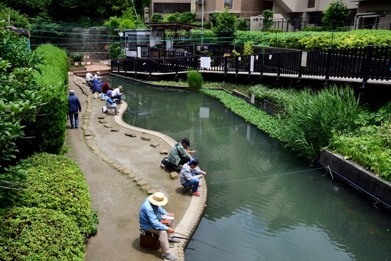 シティプラザ富士見町 周辺画像9