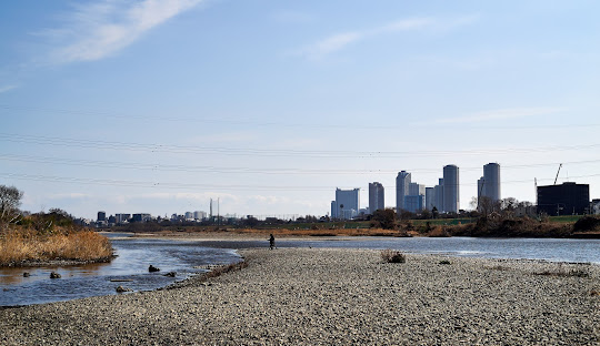 田園フラワーホーム 403号室 周辺画像8