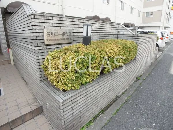 玉川コーポラス 507号室 その他