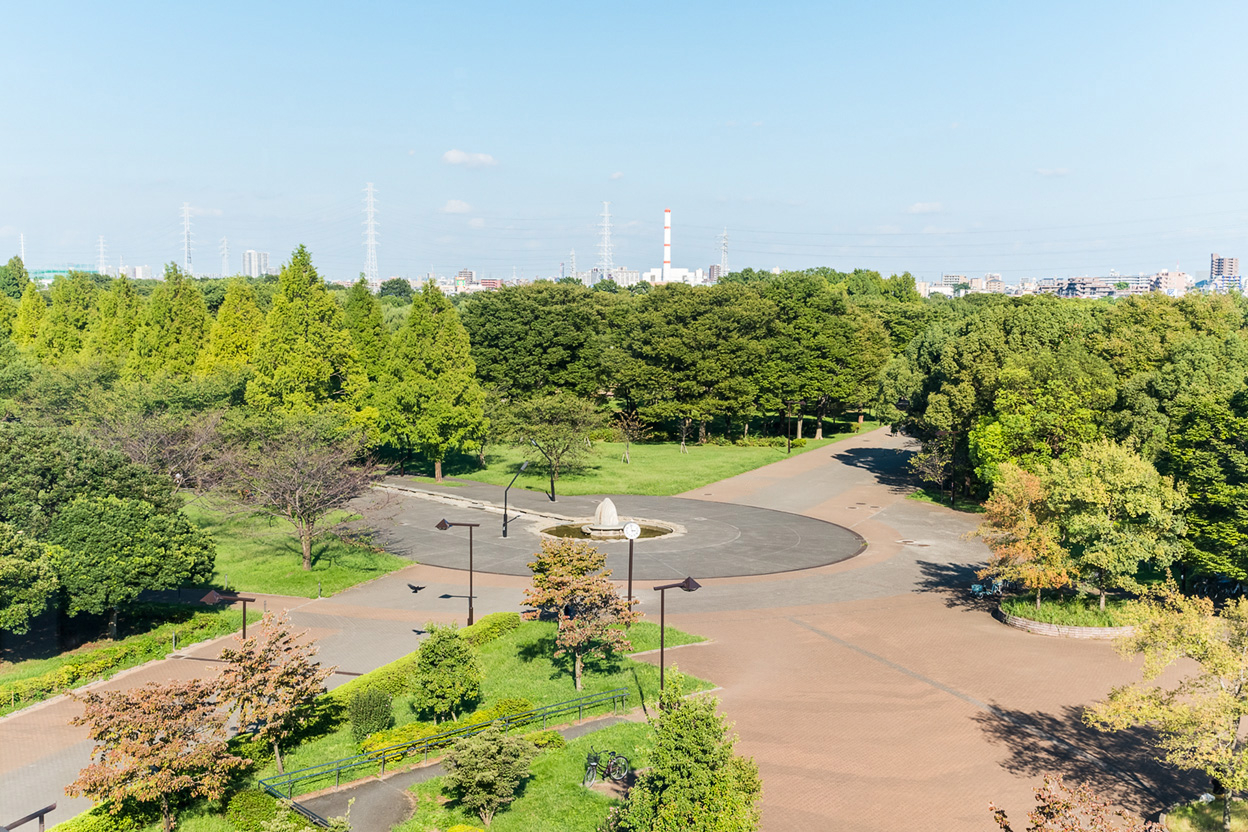 サンクレイドル西新井 503号室 周辺画像9
