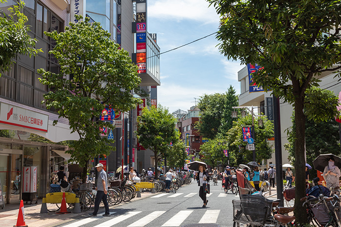 ライオンズガーデンテラス千歳烏山 302号室 周辺画像6