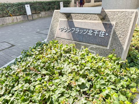 グランフラッツ北千住 506号室 その他