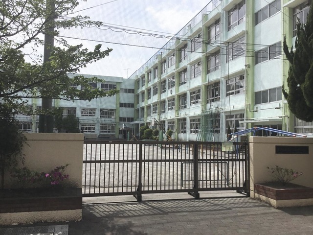 ドラゴンマンション金町壱番館 101号室 周辺画像6