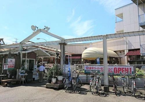 ライネスハイム国立ヒルズ 205号室 周辺画像2