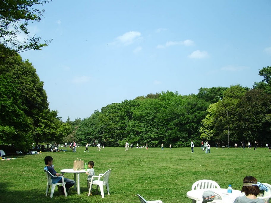 ハイホーム砧公園 104号室 周辺画像10