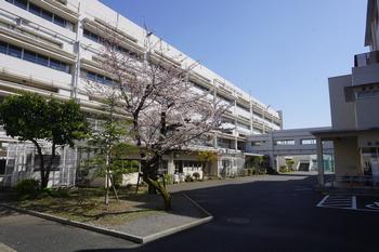 ライオンズマンション喜多見 513号室 周辺画像8