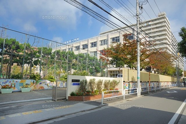 コンテ西葛西 413号室 周辺画像7