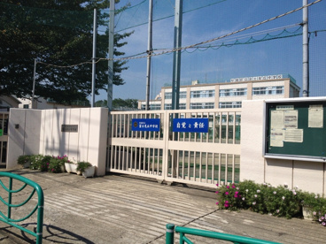 ハイネス富士見ヶ丘 403号室 周辺画像7