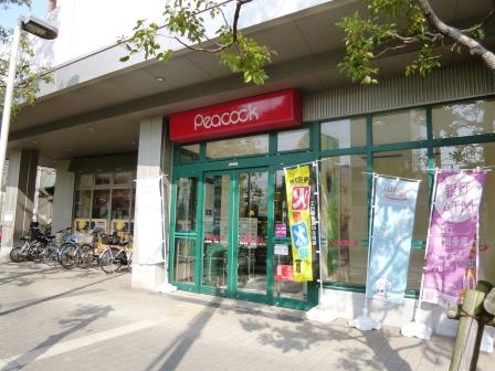 モナーク三軒茶屋 402号室 周辺画像2