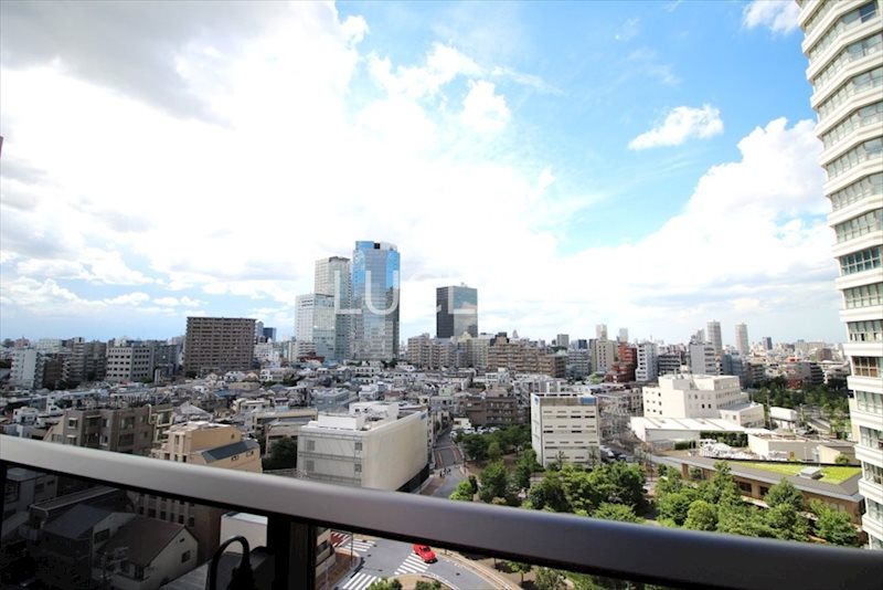 パークタワー西新宿 915号室 その他