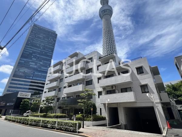 ライフコア押上 505号室 外観