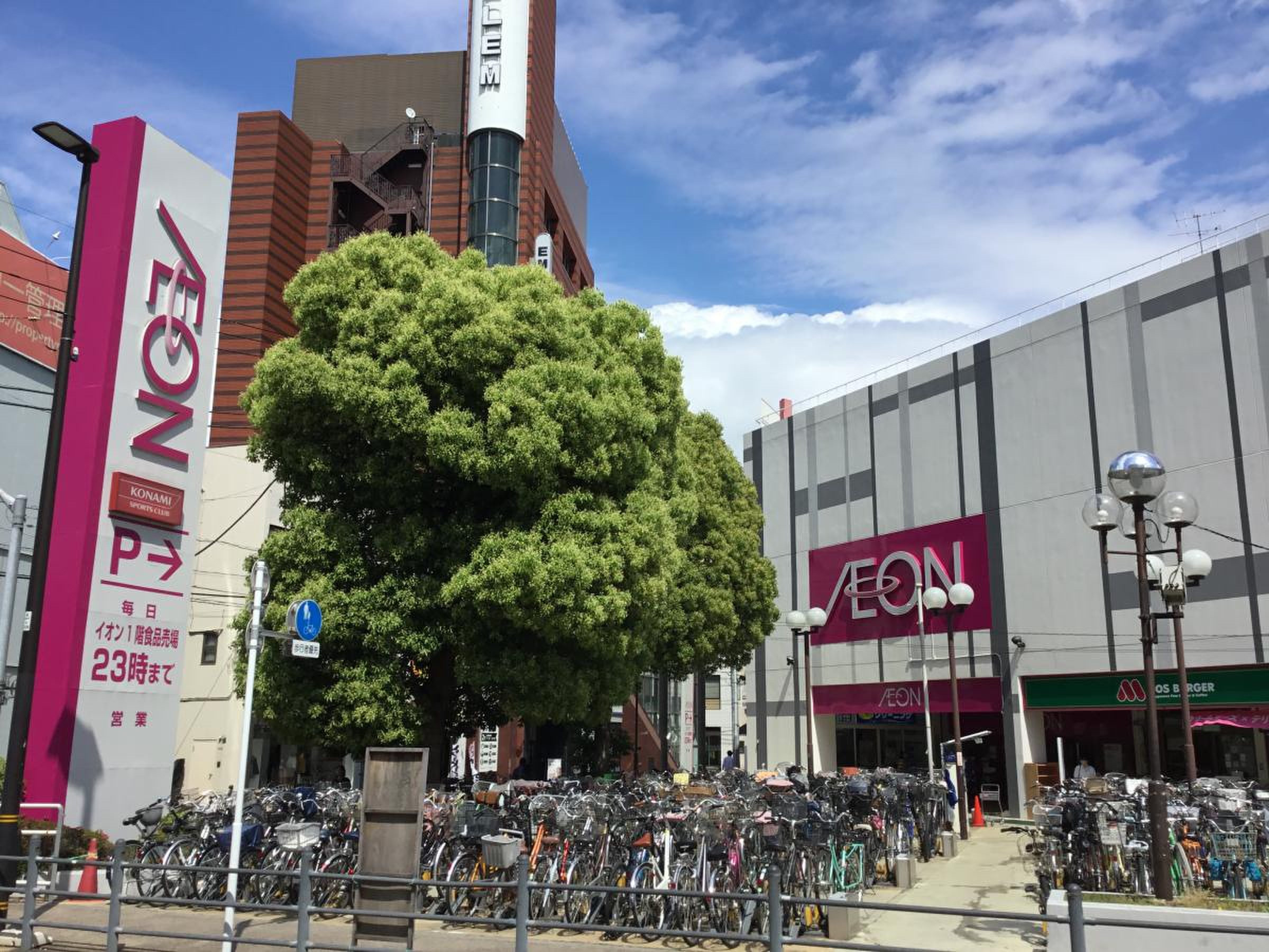 エンゼルハイム西新井 107号室 周辺画像3