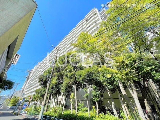 グリーンヒル西葛西 910号室 その他