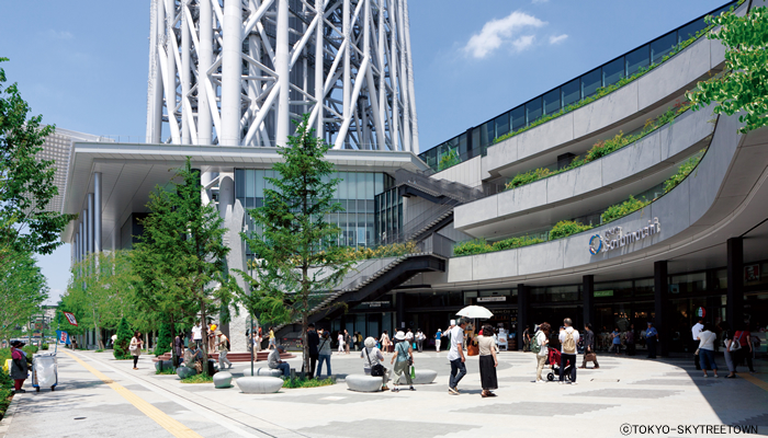 セザール本所吾妻橋 401号室 周辺画像6