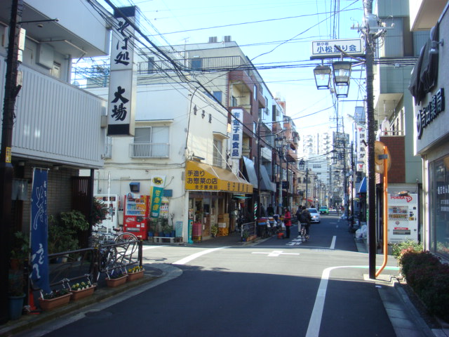 マートルコート西新小岩 104号室 周辺画像5