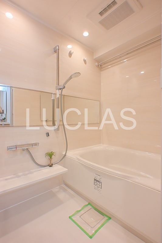 ライオンズマンション上野毛A棟 605号室 その他