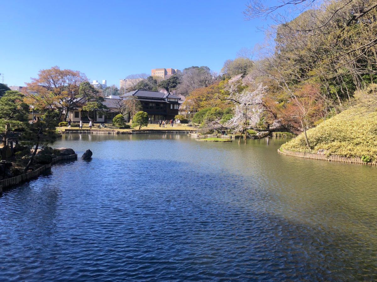 ワセダ山崎マンション 400号室 周辺画像8