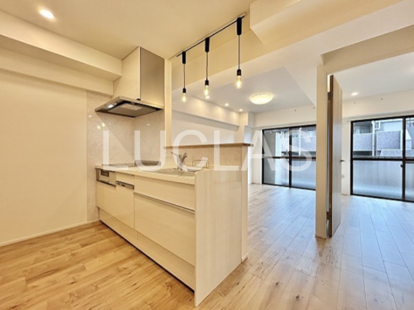 グレイス二子玉川 300号室 その他