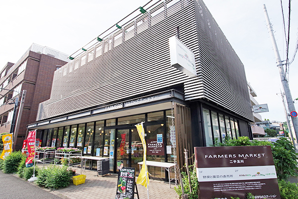 グレイス二子玉川 300号室 周辺画像2