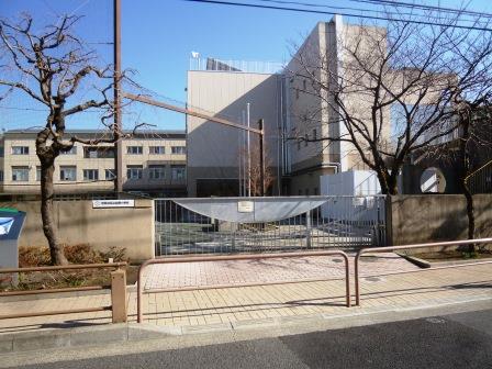 グレイス二子玉川 300号室 周辺画像4