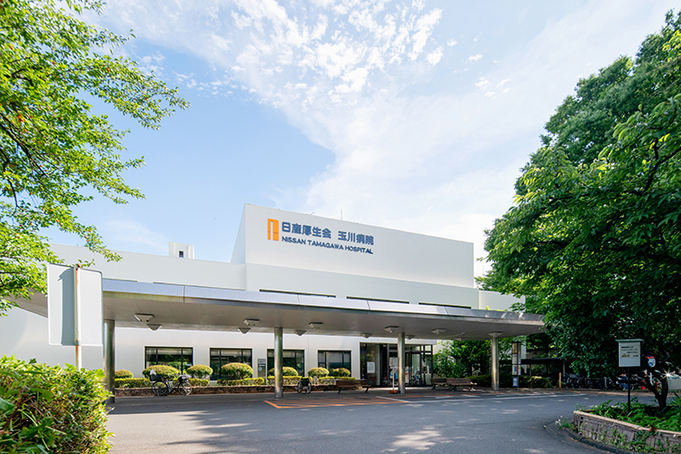 グレイス二子玉川 300号室 周辺画像7