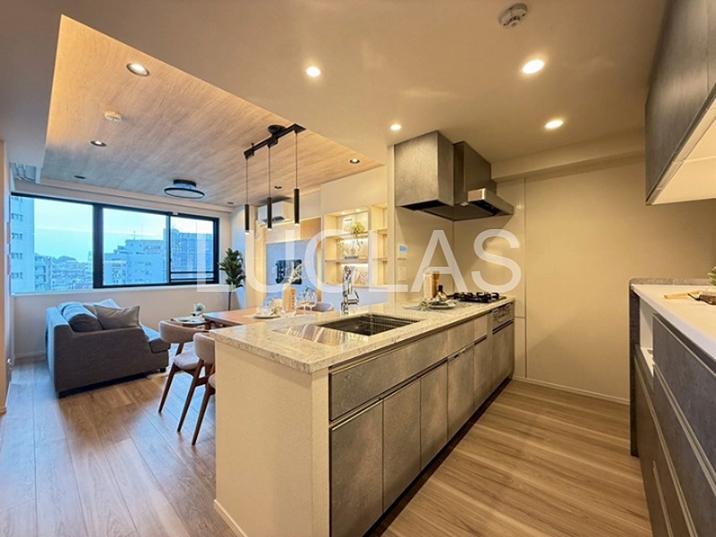 クレヴィア新宿中落合EAST 702号室 その他