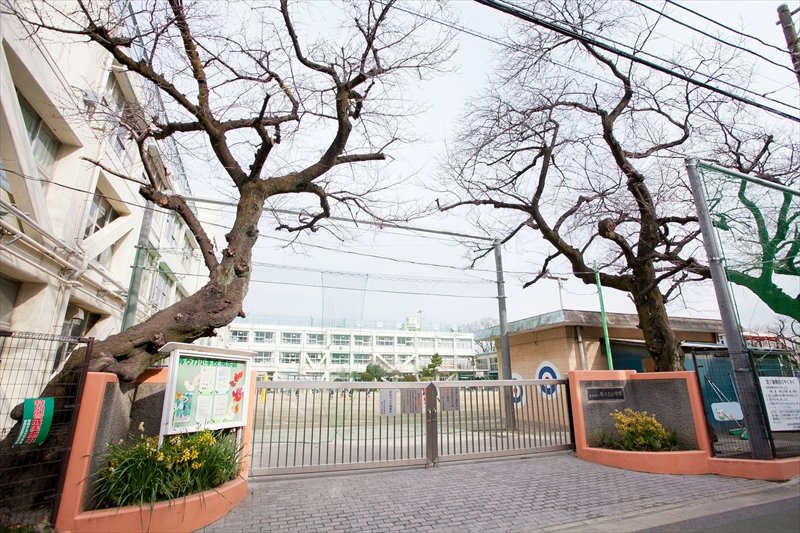 グランパーク深沢 403号室 周辺画像6