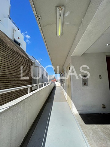 ダイヤアクティ三軒茶屋 601号室 その他