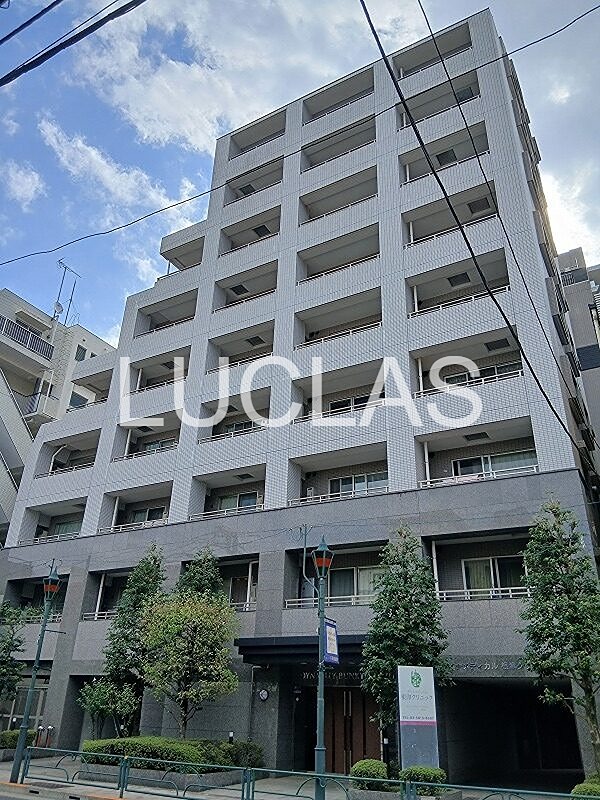 ダイナシティ文京根津 411号室 外観写真