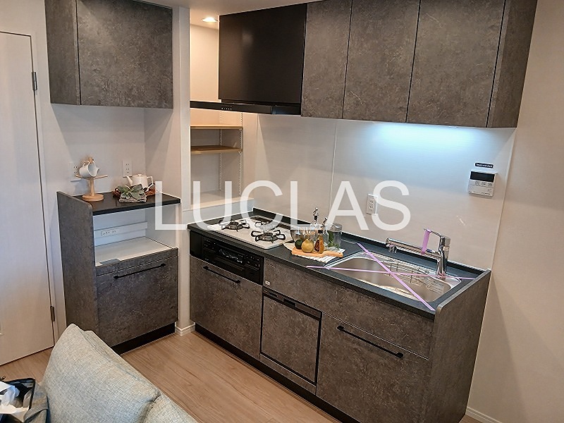 ダイナシティ文京根津 411号室 その他