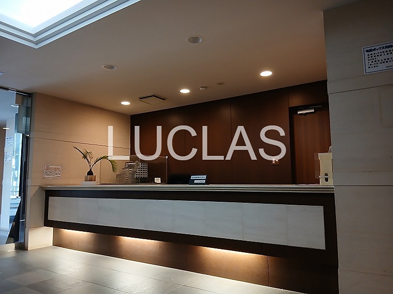 ダイナシティ文京根津 411号室 その他